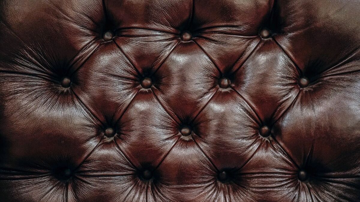 The deep-buttoned oxblood leather of an antique chesterfield