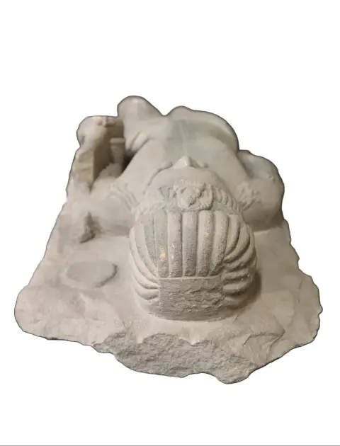 Product photo 4