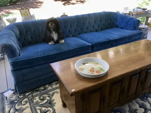 Photo from The Lacamas Lake Estate Sale