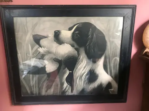 Photo from The Parrot Collector's Estate Sale