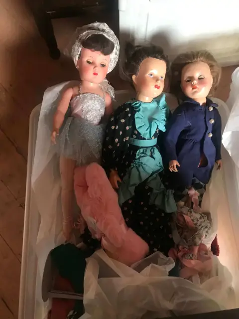 Photo from The Parrot Collector's Estate Sale