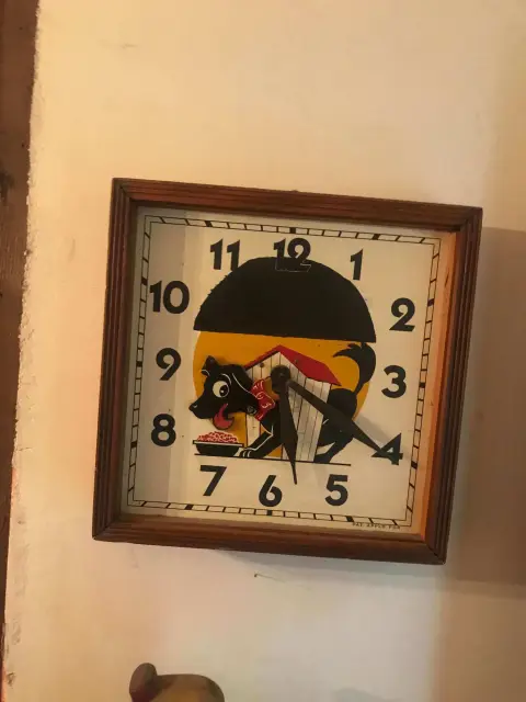 Photo from The Parrot Collector's Estate Sale