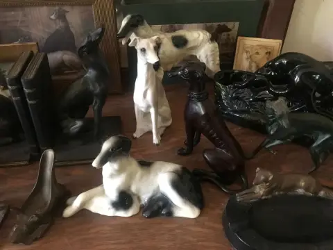 Photo from The Parrot Collector's Estate Sale
