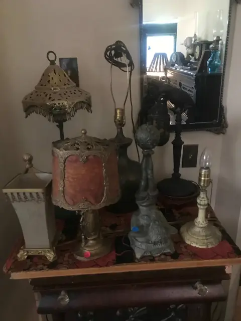 Photo from The Parrot Collector's Estate Sale