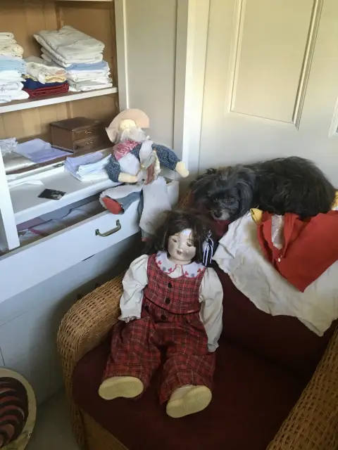 Photo from The Wilcox Manor Estate Sale